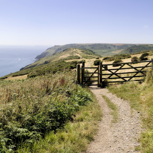 South Devon walks