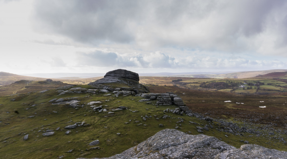 Dartmoor Autumn