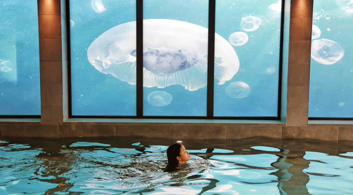 Lap Pool