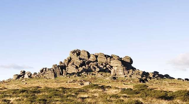 hound tor