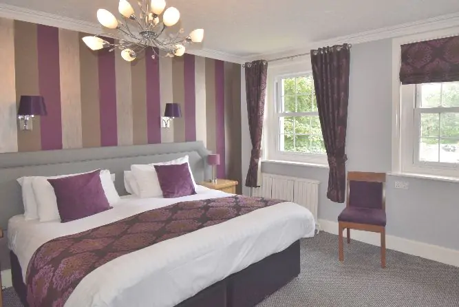 Room 17 d Club