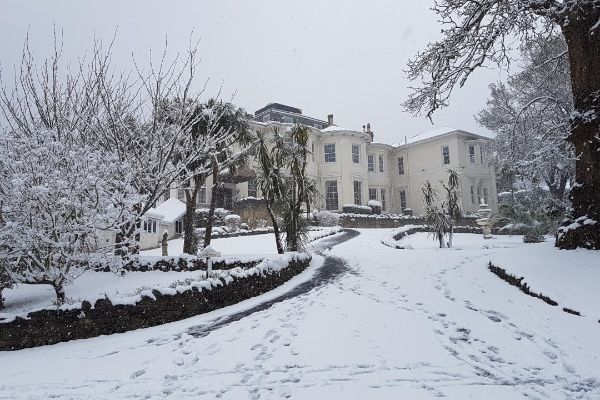 Snow 5