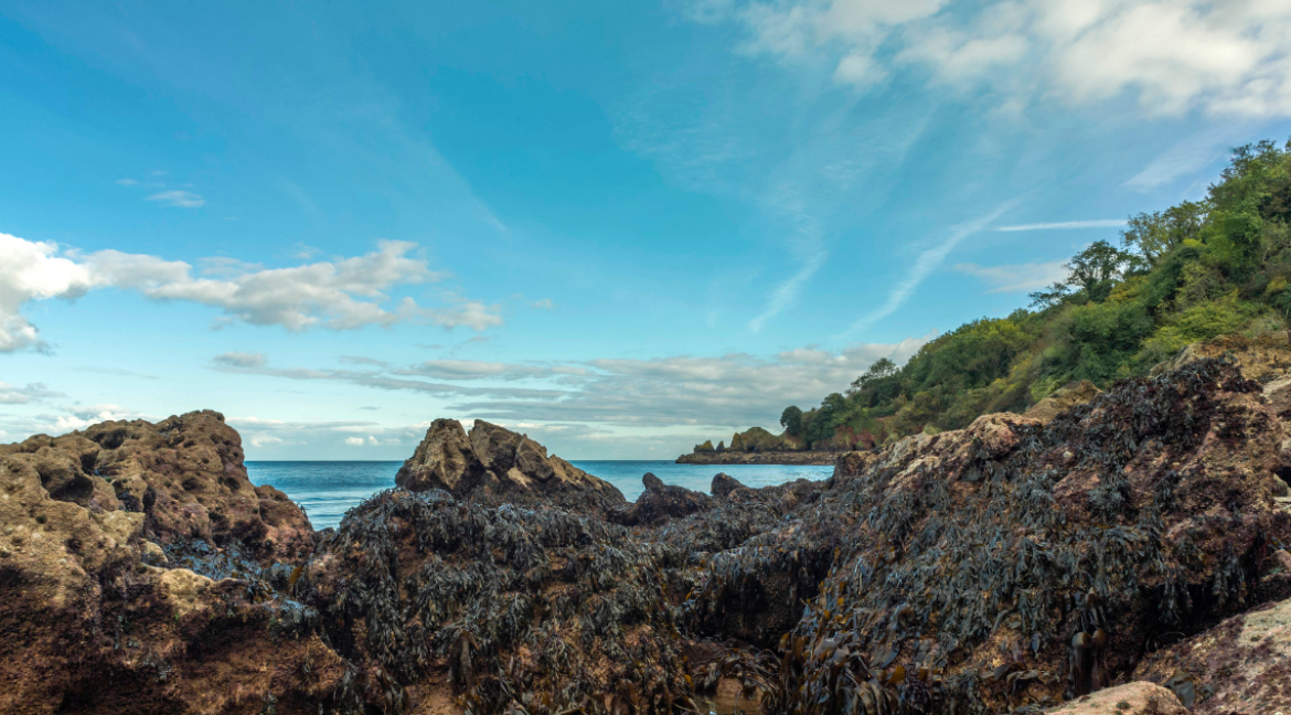 Anstey's cove (1)